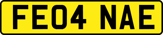 FE04NAE