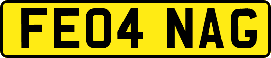 FE04NAG