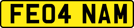 FE04NAM