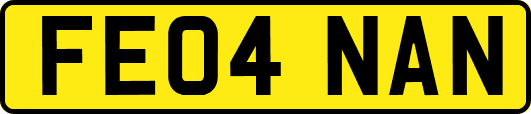 FE04NAN