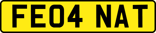 FE04NAT