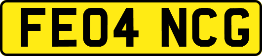 FE04NCG
