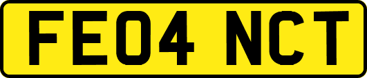 FE04NCT