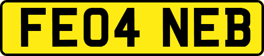 FE04NEB