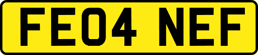FE04NEF