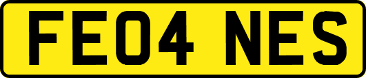 FE04NES