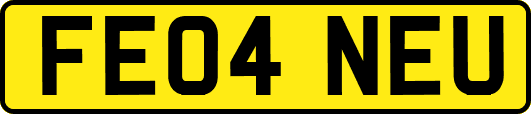 FE04NEU