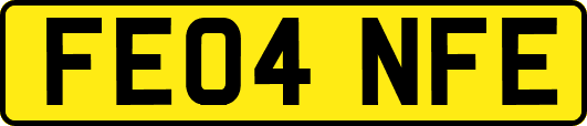 FE04NFE