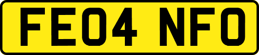 FE04NFO
