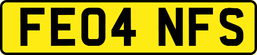 FE04NFS