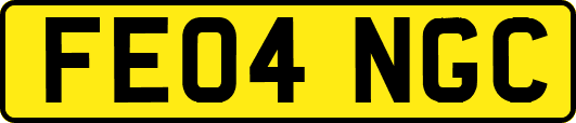 FE04NGC