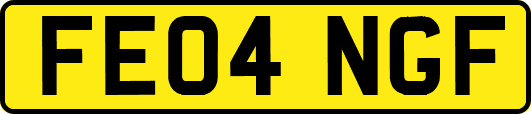FE04NGF