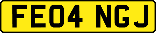 FE04NGJ