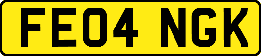 FE04NGK