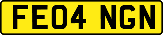 FE04NGN