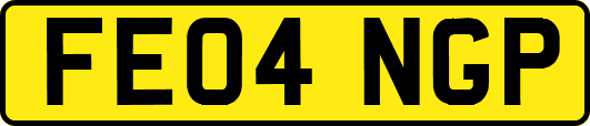 FE04NGP