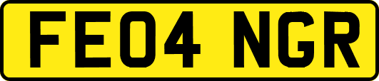 FE04NGR