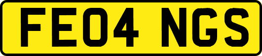 FE04NGS