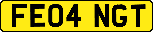 FE04NGT