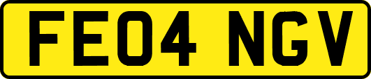 FE04NGV