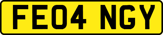 FE04NGY