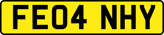 FE04NHY