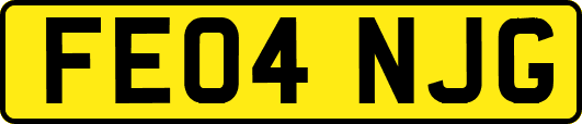 FE04NJG