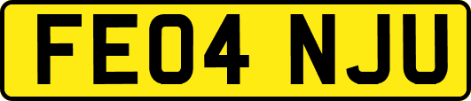 FE04NJU