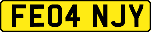 FE04NJY