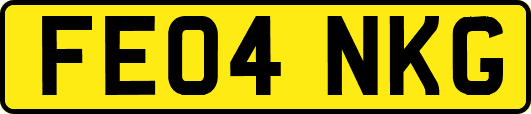 FE04NKG