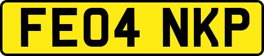 FE04NKP