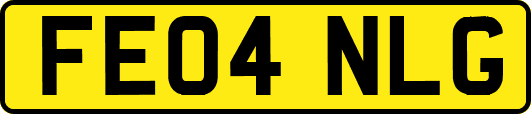 FE04NLG