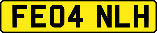 FE04NLH