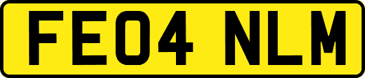 FE04NLM