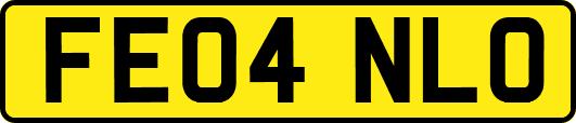 FE04NLO