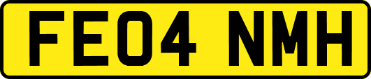 FE04NMH