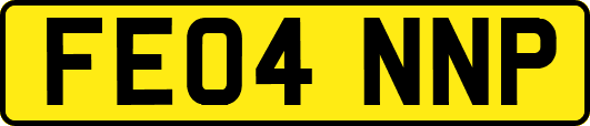 FE04NNP