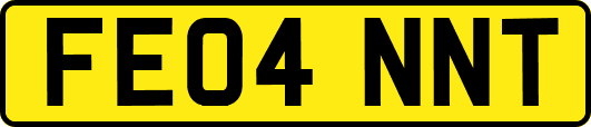 FE04NNT