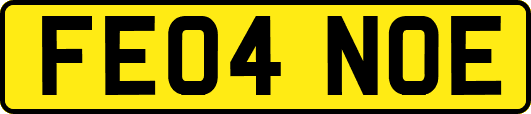 FE04NOE