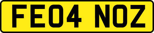FE04NOZ