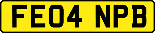 FE04NPB