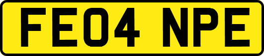 FE04NPE