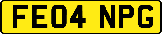 FE04NPG