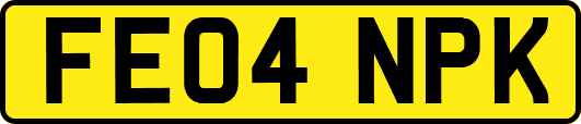 FE04NPK