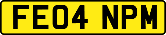 FE04NPM