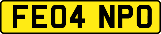 FE04NPO