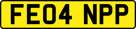 FE04NPP