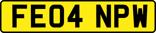 FE04NPW