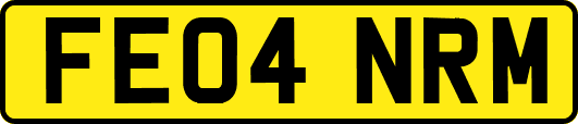 FE04NRM