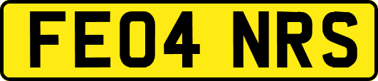 FE04NRS